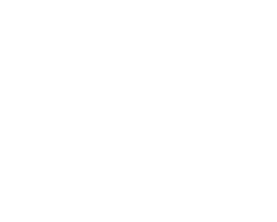 Caribbean AI Solutions