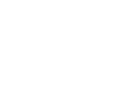 Caribbean AI Solutions