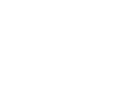 Caribbean AI Solutions