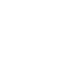 Caribbean AI Solutions