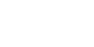 Caribbean AI Solutions