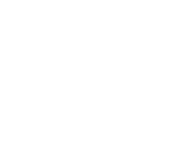 Caribbean AI Solutions