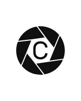 Caribbean AI Solutions
