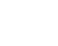 Caribbean AI Solutions