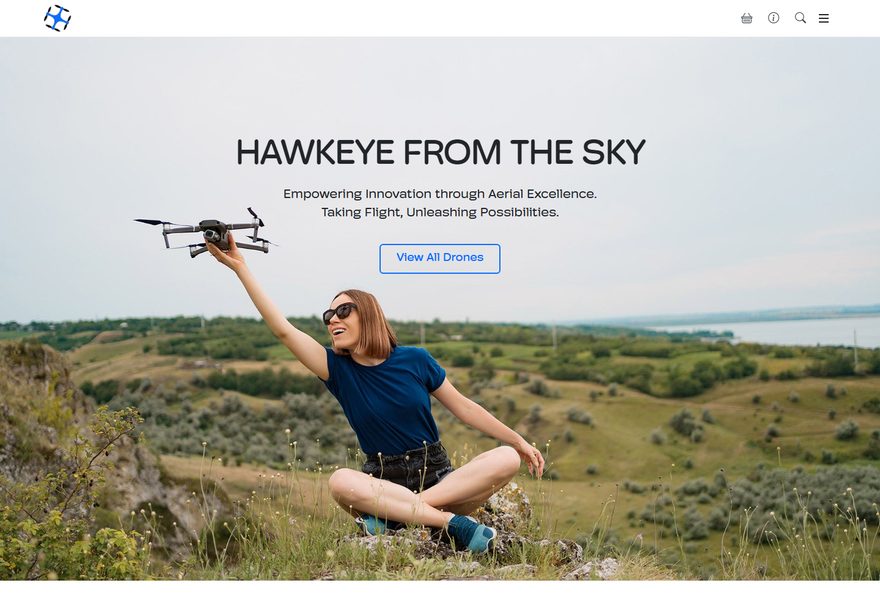 Drone website example