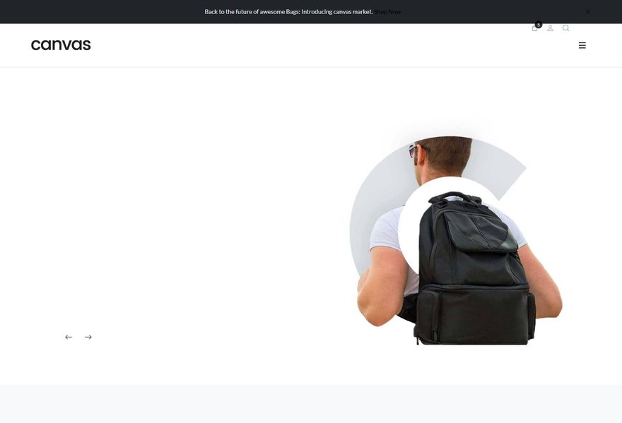 eCommerce website example