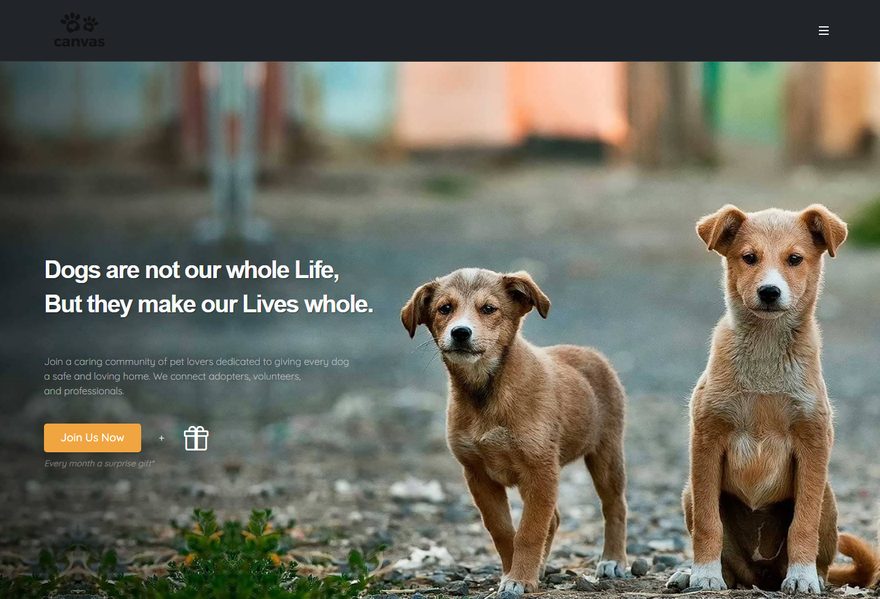 Pet website example