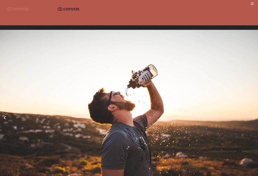 Photography website example