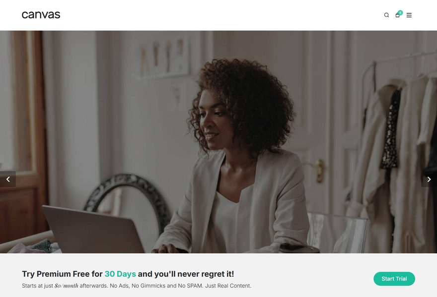 Corporate 3 website example