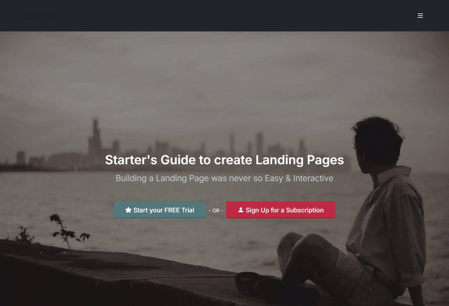 Landing 2 website example