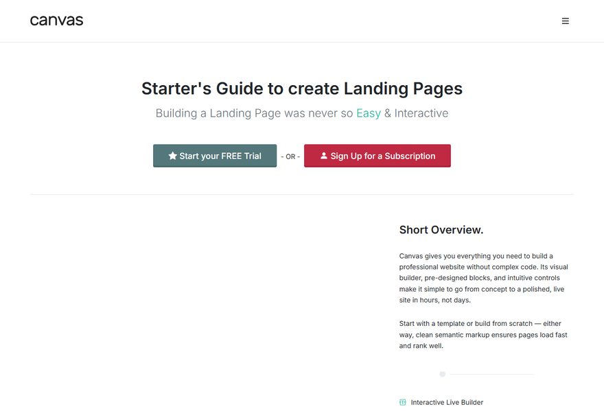 Landing 1 website example