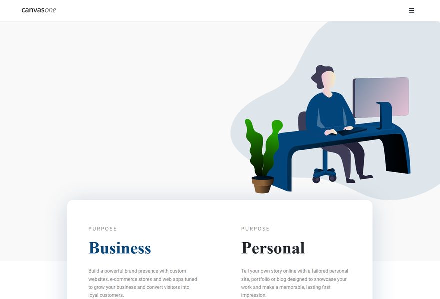Developer website example