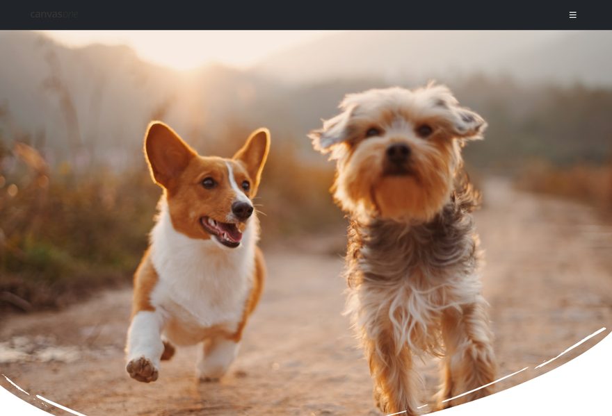 Pet website example