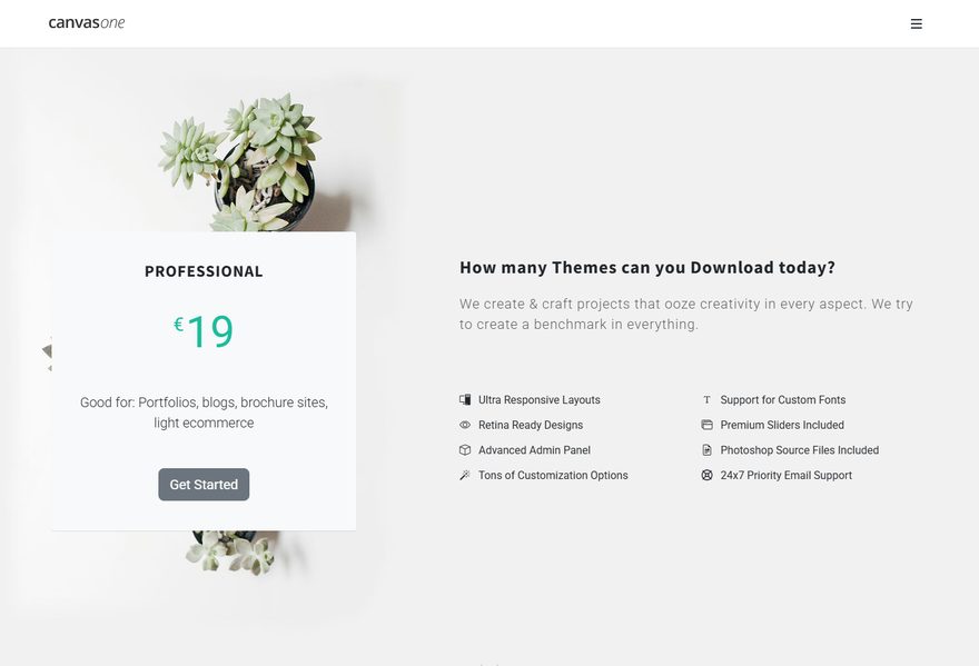 Pricing website example
