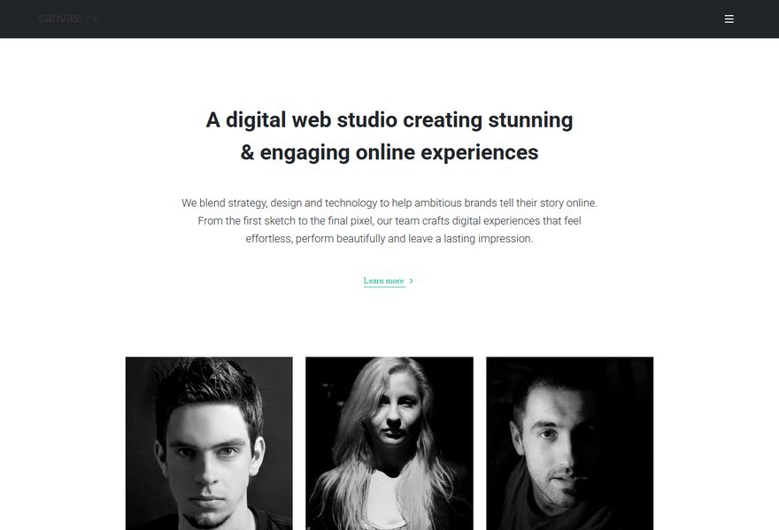 Fullwidth Revolution website example